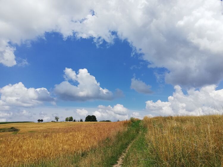 Mit allen Sinnen, Kornfeld Dresden; Schwester Elisabeth