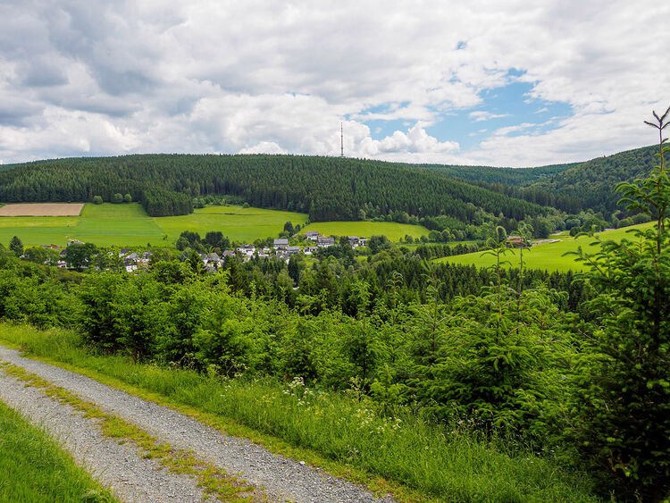 Blick auf Osterwald
