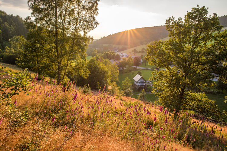 Latrop im Sauerland
